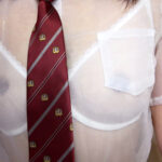 紺野ひかる 神スケスケ 女子の服の中おっぱいはどんな感じで下着に包まれ、乳首はどの様に隠れ、マン毛はどんな感じでパンティーに覆われ、ハミ毛は？パイパンだったら？と日々妄想で勃起して完全着衣じゃモノ足りず、でも全裸じゃ抜けなくなった大人に送るAV