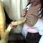 AVヘビー級伝説 EVEvsマグナム北斗