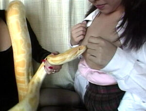 AVヘビー級伝説 EVEvsマグナム北斗