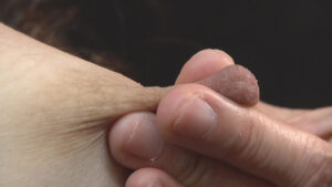 乳首が敏感な熟女ばかりを集めた乳首オナニーベスト24名