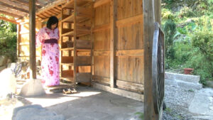 湯けむり熟女~温泉旅情 未亡人ひとり旅 ますみ 五十二歳