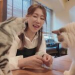 翔田千里とAV監督が一日デート