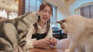 翔田千里とAV監督が一日デート