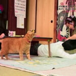 隣りの奥さん爆ヌレ初体験（2）～旦那が帰ってくるまで自宅で不倫SEXヤリまくり！