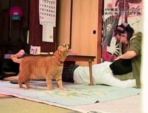 隣りの奥さん爆ヌレ初体験（2）～旦那が帰ってくるまで自宅で不倫SEXヤリまくり！