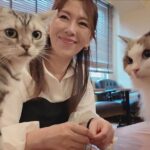 猫カフェデートの後はホテルで思いっきり交尾