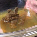 素人ナンパトイレ号がゆく 外伝 東京熟女脱糞8