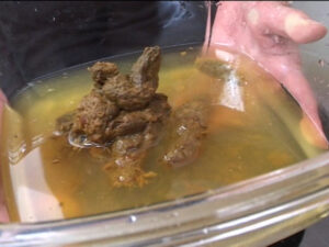 素人ナンパトイレ号がゆく 外伝 東京熟女脱糞8